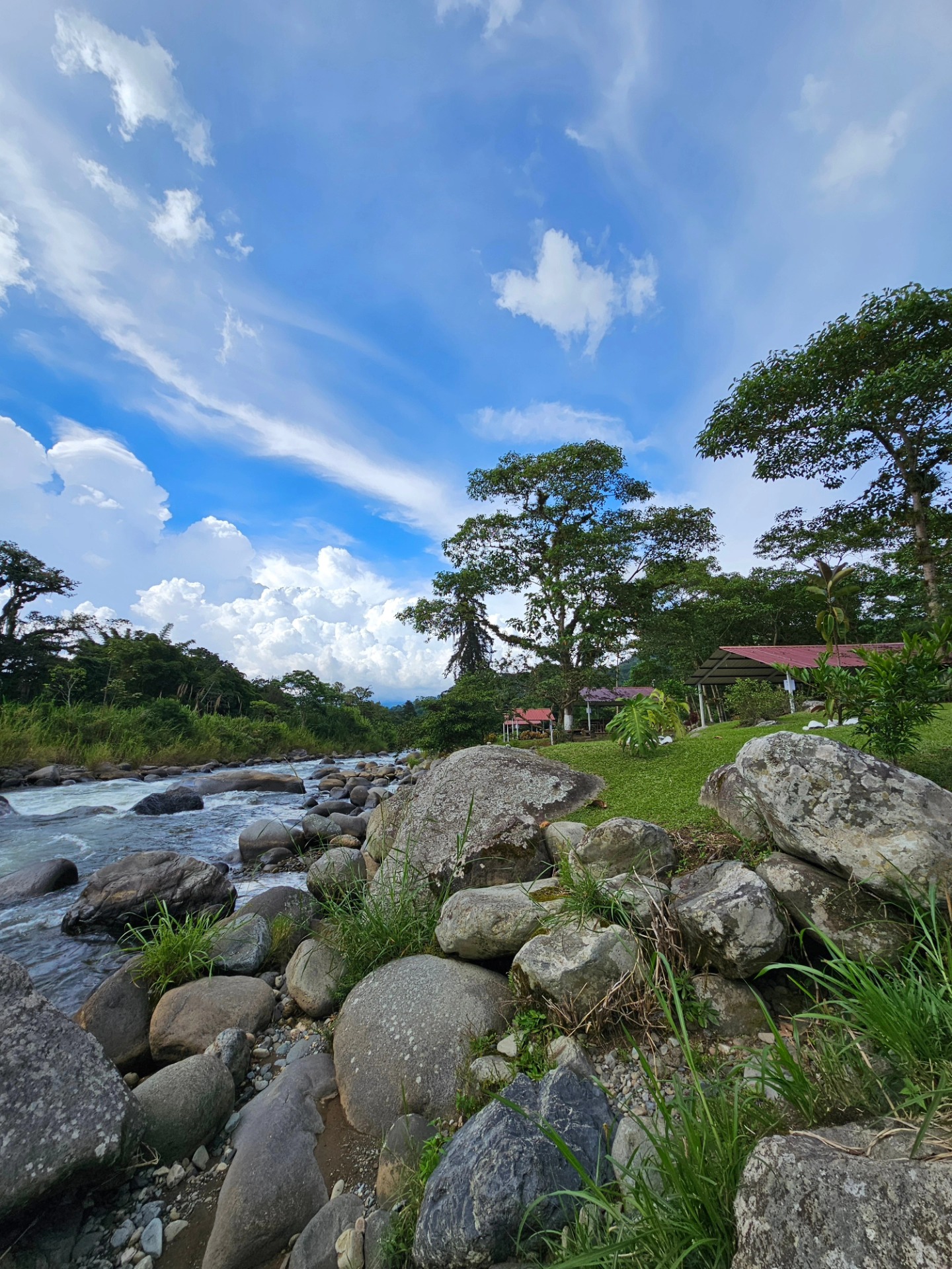 Vista del espacio verde