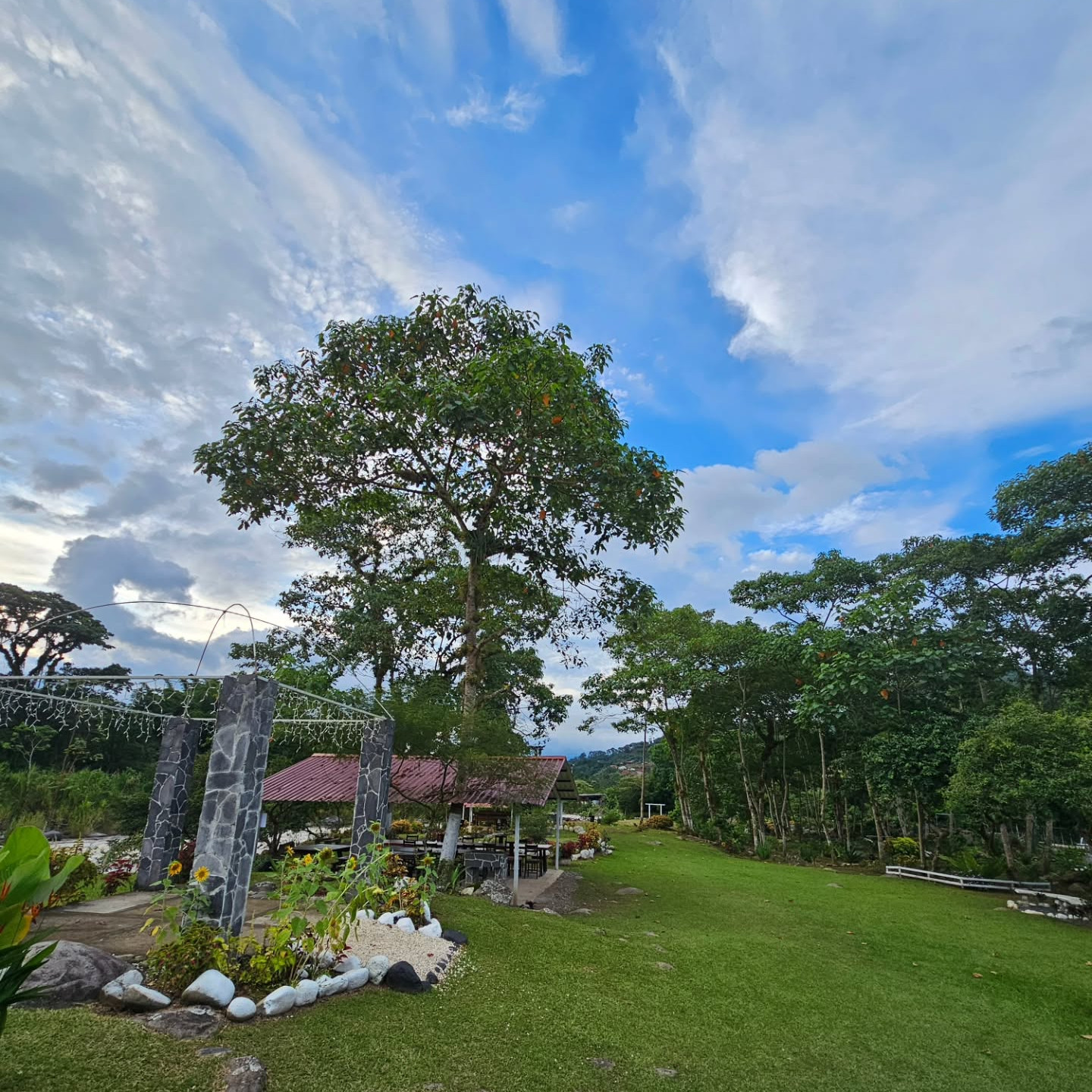 Vista 2