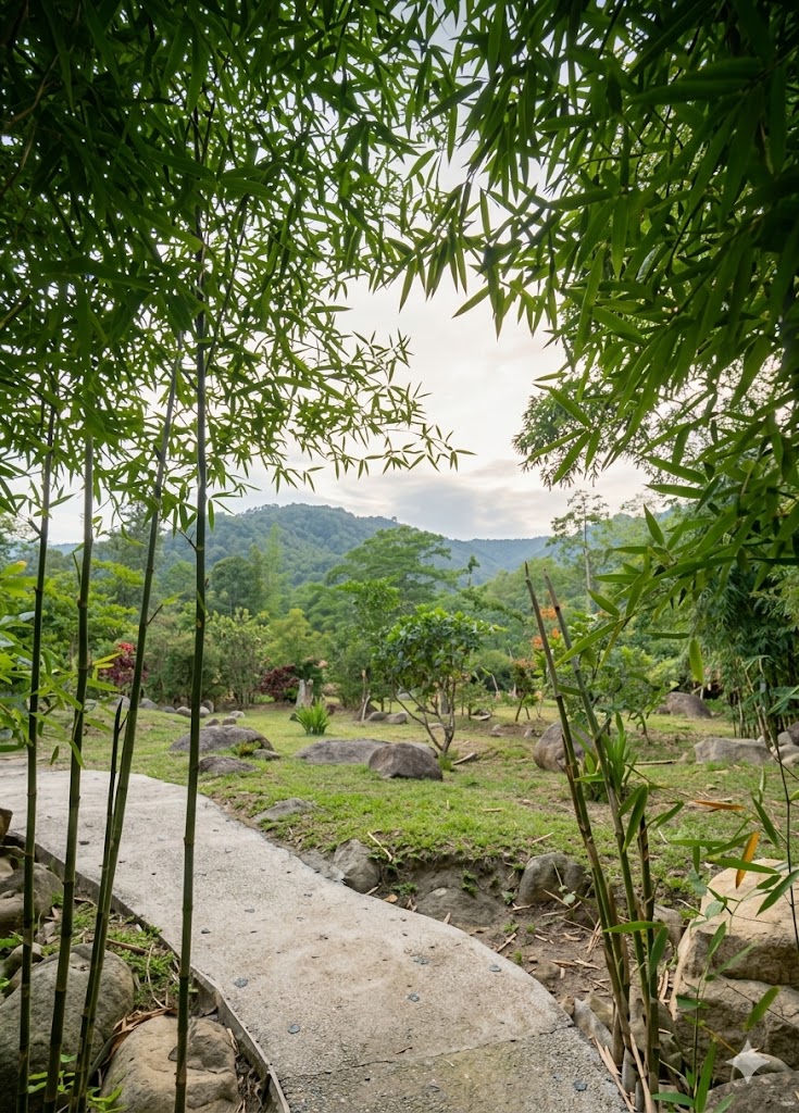 Zona verde de picnic
